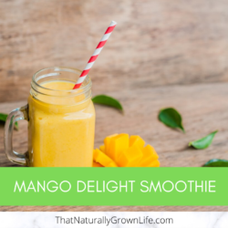 Mango Delight Smoothie